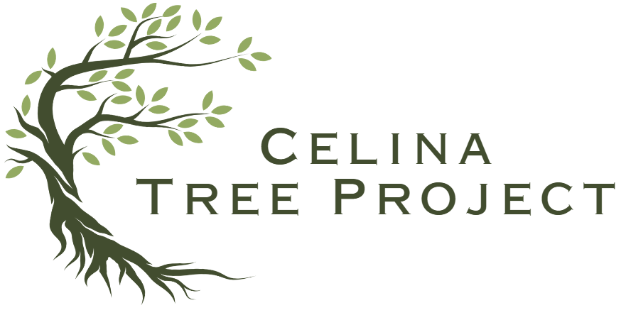 Celina Tree Project